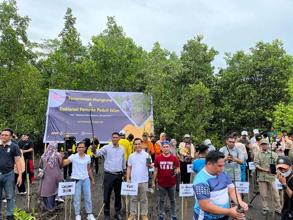 TuK INDONESIA Bersama Warga Banggai Tanam Mangrove