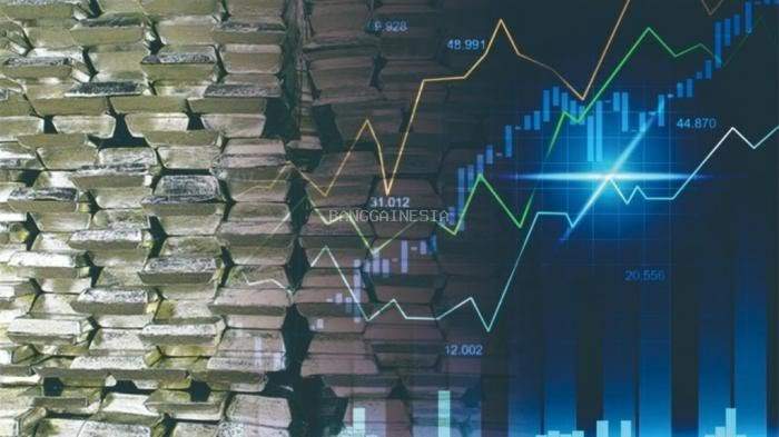 Pemilik Pabrik Nikel Terbesar Asia Tenggara di Morowali