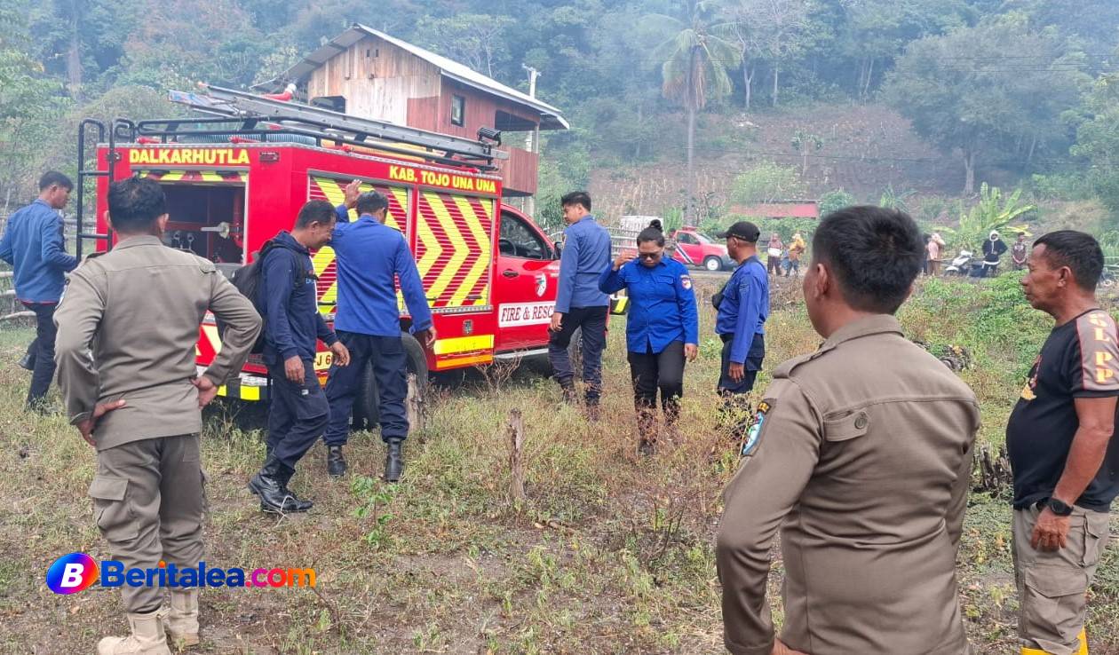 Api Karhutla Mengancam Lahan di Tojo, Tim Gabungan Bergerak Padamkan Titik Api